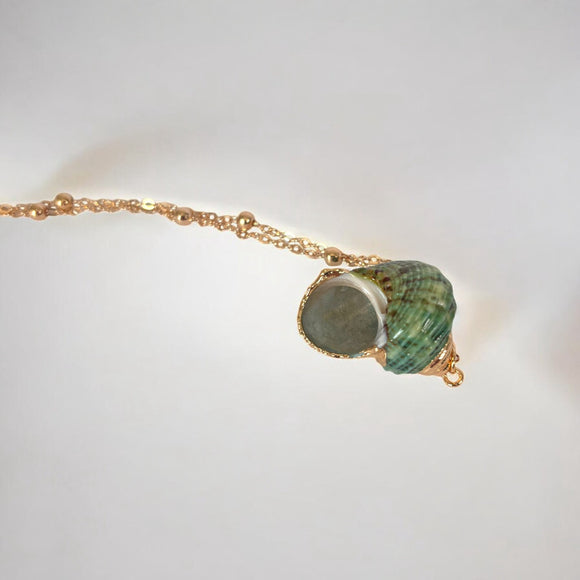 Green Seashell Pendant Ocean Series Natural Seashell Necklace NWT