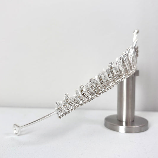 Silver Frost Elegance Crystal Bridal, Wedding & Pageant Tiara / Crown NWT