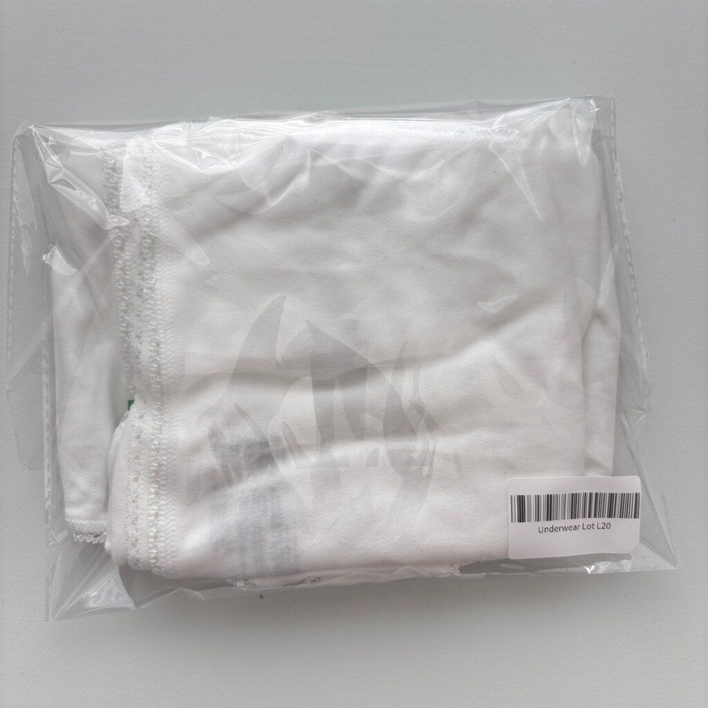 Charter Club Women's Large 100% Cotton 3 Pack of White Brief Underwear NWT L20