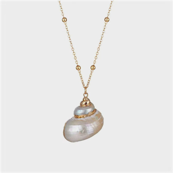 Gold Leaf / Plated Turbo Shell Abalone Women's Necklace NWT